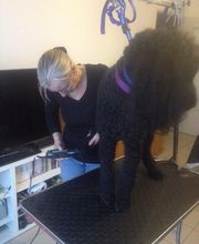 Toutou Bigoudis image 2