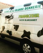 Signa Vision image 8