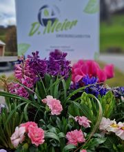 D. Meier Umgebungsarbeiten GmbH Bild 1