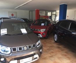 Gallery Cliente