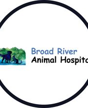 Broad River Animal Hospital image 4