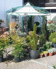 Strickler Blumen & Gärten AG Bild 2