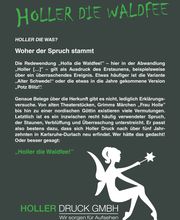 Bedeutung Holler die Waldfee.jpg