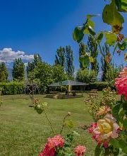 Agriturismo la Mora - Agriturismo Assisi immagine 2