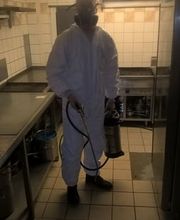 bioControl Schädlingsbekämpfung - Christian Hackel Blossin Deutschland