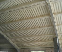 18230425-2-qJth7Fser11531900779991.jpeg