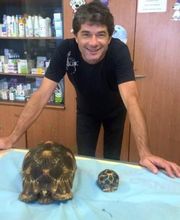 Clinique Vétérinaire de la Montagne - Luna Park image 4