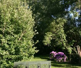 Das alte Pastorat Bild 18