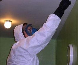 Tradhisa-realizando-desinfeccion.jpg