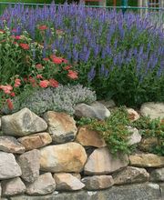 Klein Gartengestaltung & Landschaftsbau Bild 1