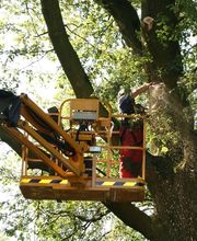 Herman Vaessen afbeelding 11