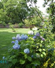 Wurm Garten- und Landschaftsbau in Mitterfels Bild 5