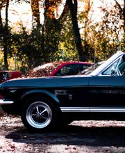 Gorilla Werkstatt GmbH Bild 4