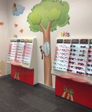 General Optica - Visión y Audición imagen 13