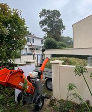 Arbor Saintonge image 6