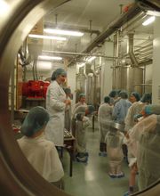 Chocolat Stella SA Bild 5