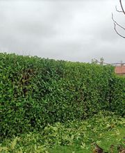 Douaire David image 11