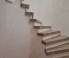 1000033966.jpeg
