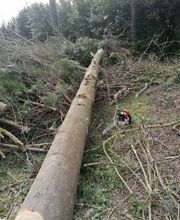 Krismann Espaces Verts image 6