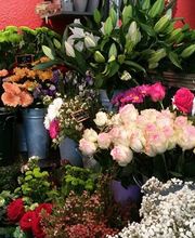 Au Flamboyant Bild 1