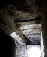 P2H Préservation Hygiène Habitat image 9