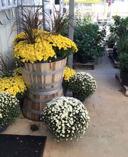 Tractor Supply Co. image 4