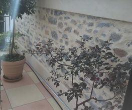 Augusto Maison Nature image 8