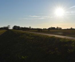 Super Hundeurlaub Bild 12