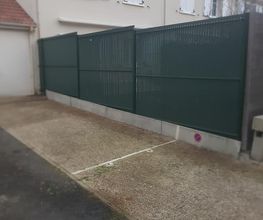 Albizzia image 4