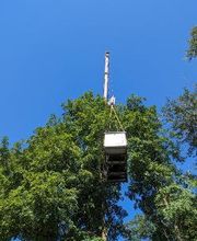 Coffey Electric & Generator image 16