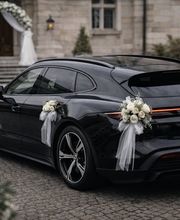 Wolf Executive Drive Bild 2