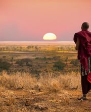 CELTEA VOYAGES image 5