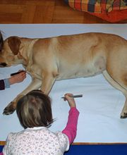 Ergo- & Reittherapie Junker Jutta Bild 5