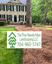 The Pine Needle Man Landscaping LLC image 13
