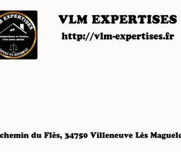 VLM Expertises image 2