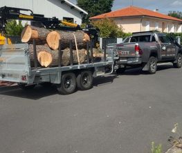 Arbocity image 2