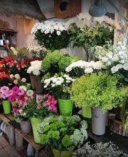 Rosavel la rose des vents image 3