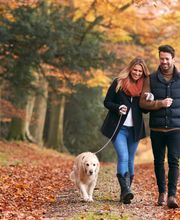 Unicis Rencontres Angers image 5