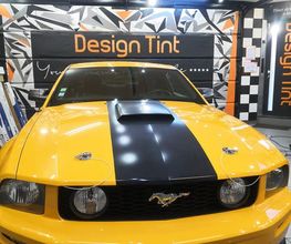 Design Tint image 8