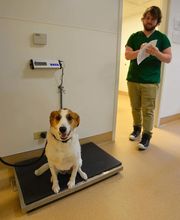 Archer Veterinary Clinic image 1