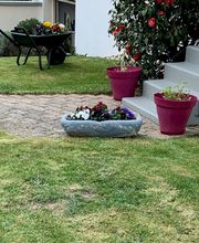 Courcoux Julien image 1