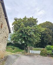 Baum élagage image 2