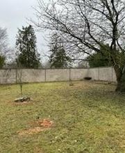 Roye Garden image 10