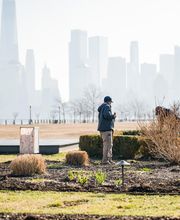 Landscape Solutions image 20