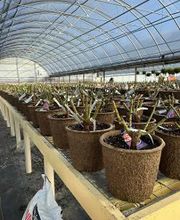 Johansen Landscape & Nursery image 6