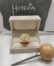 Andola image 4