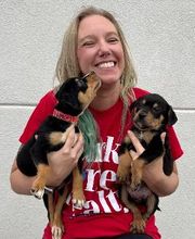 Parks Jones Realty image 5