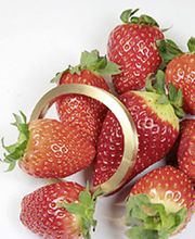 Frischmuth Christine Bild 1