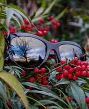 Bassmann Optik Bild 5