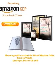 raul martin felix imagen 7